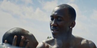 ‘Moonlight’ Leads Gay and Lesbian Entertainment Critics’ Dorian Award Nominations - Hollywood Reporter