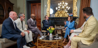 Unveiling the Ultimate Lesbian Accessory - VICE