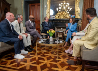 Unveiling the Ultimate Lesbian Accessory - VICE