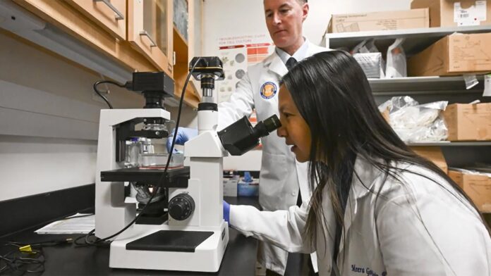 Health expert calls Trump's medical research cuts 
