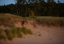 How a gay beach oasis flourished in Michigan’s Bible Belt – The Washington Post How a gay beach oasis flourished in Michigan’s Bible Belt - The Washington Post