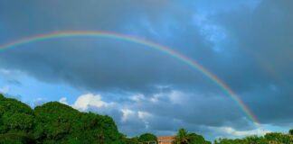 Is Costa Rica Gay Friendly? The Weather's Nice – But What About the Political Climate? - Travel Noire