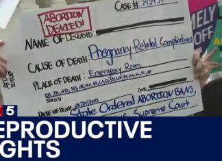 New pope shares thoughts on gay marriage, abortion - LiveNOW from FOX