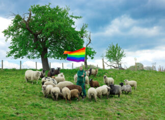 'Rainbow Wool' Is the World’s First Fashion Statement Made from the Wool of Gay Sheep - Little Black Book | LBBOnline