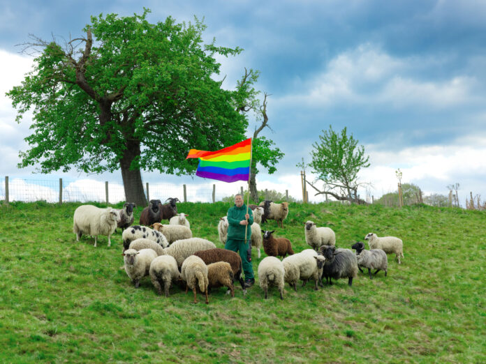 'Rainbow Wool' Is the World’s First Fashion Statement Made from the Wool of Gay Sheep - Little Black Book | LBBOnline