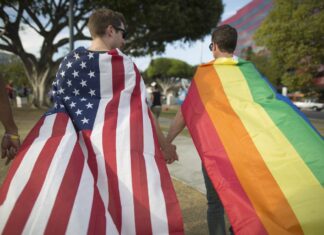 What the rise of queer Republicans tells us about America - vox.com