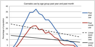 As Cannabis Users Age, Health Risks Appear To Grow - KFF Health News