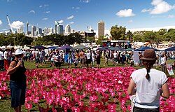 Ban on gay and bisexual men donating blood and plasma in Australia to be scrapped - The Guardian