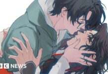 China is cracking down on young women who write gay erotica - BBC