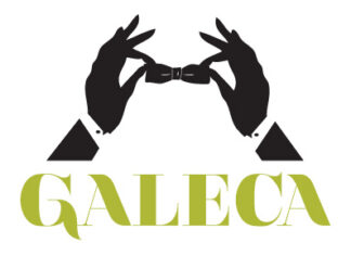 GALECA: The Society of LGBTQ Entertainment Critics Announces Winners of 2025 Crimson Honors College Schola... - AwardsWatch