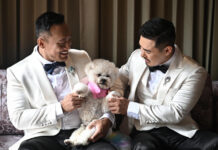 Gay Chinese couple fulfil wedding dream in 'freer' Thailand - France 24
