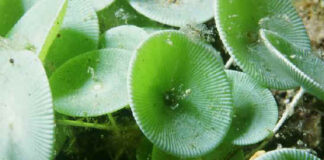 Hah: Chicago OâHare Airport May Be Getting A Gay Bar - One Mile at a Time