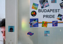 Hungary tells EU ambassadors not to attend Pride parade banned by police - France 24