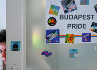 Hungary tells EU ambassadors not to attend Pride parade banned by police - France 24