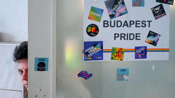 Hungary tells EU ambassadors not to attend Pride parade banned by police - France 24