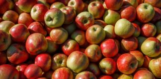 Is an apple a day really good for your health? - BBC