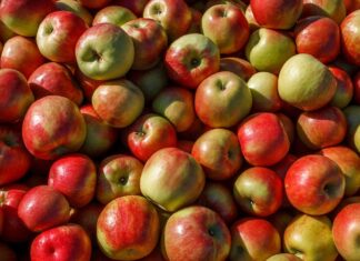 Is an apple a day really good for your health? – BBC Is an apple a day really good for your health? - BBC