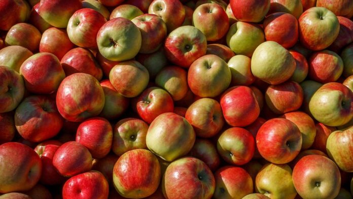Is an apple a day really good for your health? - BBC