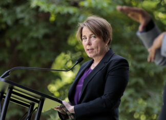 State spending with LGBT-owned businesses fails to meet Healey's benchmark - GBH