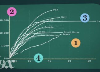 The devastating impact of Trump’s big beautiful bill, in one chart - vox.com