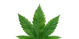 The truth about using cannabis for health problems - The Washington Post