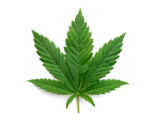 The truth about using cannabis for health problems – The Washington Post The truth about using cannabis for health problems - The Washington Post