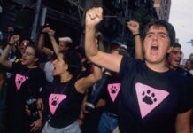 TikTok trend finds straight dudes LOVE the Roman Empire. But what’s the gay equivalent? - Queerty