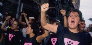 TikTok trend finds straight dudes LOVE the Roman Empire. But what’s the gay equivalent? - Queerty