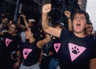 TikTok trend finds straight dudes LOVE the Roman Empire. But what’s the gay equivalent? - Queerty