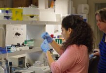 USA Today: Homophobic Speech in Youth Sports Harms Gay and Straight Boys, Fordham Researchers Find - Fordham Now