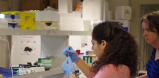 USA Today: Homophobic Speech in Youth Sports Harms Gay and Straight Boys, Fordham Researchers Find - Fordham Now