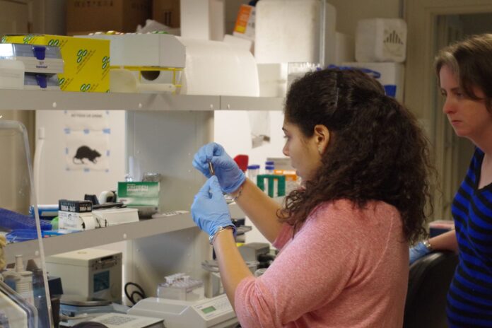 USA Today: Homophobic Speech in Youth Sports Harms Gay and Straight Boys, Fordham Researchers Find - Fordham Now