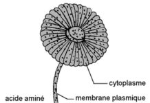 âBefore We Forgetâ Review: A Reflective Gay Love Story About an Argentinian Filmmaker Who Yearns for the One Who Got Away - Yahoo