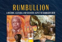 Barbadian Sugar Cane Rums - Trend Hunter