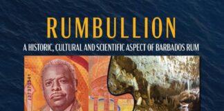 Barbadian Sugar Cane Rums - Trend Hunter