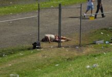 Chinaâs crackdown on gay erotica stifles rare outlet for LGBTQ expression - Hong Kong Free Press HKFP