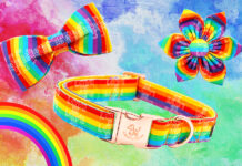 Dog Bow Tie Elegant Little Tail LGBT Dog Collar, Rainbow Dog Collars With Bow Puppy LGBT For Pride Month Puppy Holiday Pet Gift Dog Girl Boy Adjustable Dog Collar Dog Collar Rainbow - roarmag.org