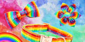 Dog Bow Tie Elegant Little Tail LGBT Dog Collar, Rainbow Dog Collars With Bow Puppy LGBT For Pride Month Puppy Holiday Pet Gift Dog Girl Boy Adjustable Dog Collar Dog Collar Rainbow - roarmag.org