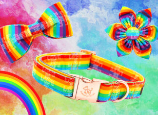 Dog Bow Tie Elegant Little Tail LGBT Dog Collar, Rainbow Dog Collars With Bow Puppy LGBT For Pride Month Puppy Holiday Pet Gift Dog Girl Boy Adjustable Dog Collar Dog Collar Rainbow - roarmag.org