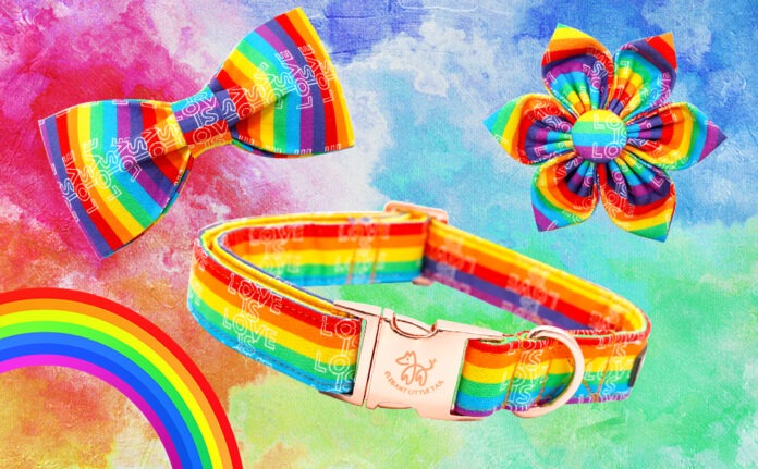 Dog Bow Tie Elegant Little Tail LGBT Dog Collar, Rainbow Dog Collars With Bow Puppy LGBT For Pride Month Puppy Holiday Pet Gift Dog Girl Boy Adjustable Dog Collar Dog Collar Rainbow - roarmag.org