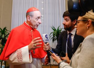 Gay blessings 'will remain' under Pope Leo, Vatican doctrine chief says - National Catholic Reporter