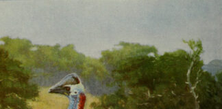 Gay penguin couple hatch and raise chick at Chester Zoo - The Telegraph