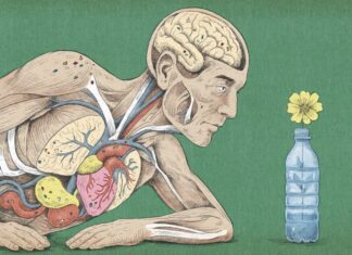 How do the microplastics in our bodies affect our health? – BBC How do the microplastics in our bodies affect our health? - BBC
