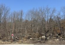 Mass. teens charged in connection with yelling anti-gay slurs in Provincetown - MassLive