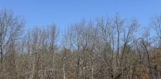 Mass. teens charged in connection with yelling anti-gay slurs in Provincetown - MassLive