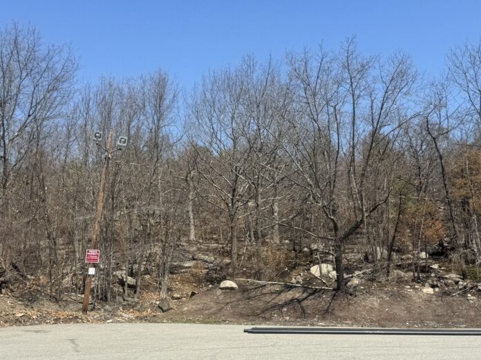 Mass. teens charged in connection with yelling anti-gay slurs in Provincetown - MassLive