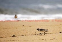 Outrage after border agents subject detained gay Vermont superintendent to hours of âpsychological terrorâ - Advocate.com