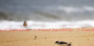 Outrage after border agents subject detained gay Vermont superintendent to hours of âpsychological terrorâ - Advocate.com