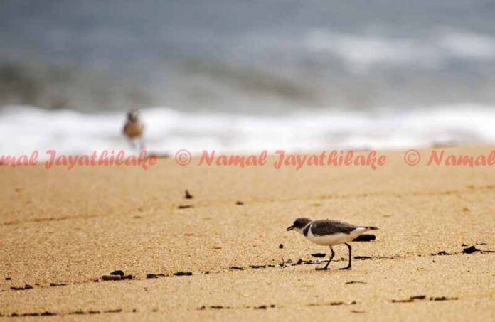 Outrage after border agents subject detained gay Vermont superintendent to hours of âpsychological terrorâ - Advocate.com