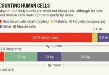Scientists bust myth that 10,000 steps are required for good health - Financial Times